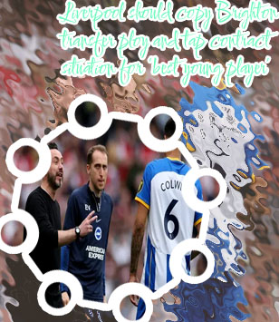 Brighton fc rumours